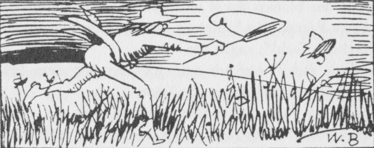 Illustration von Wilhelm Busch zu „Der Schmetterling“