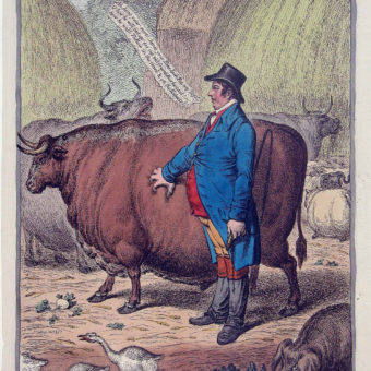 Fat Cattle